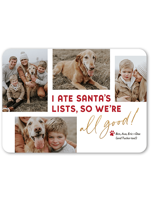 Doggie Delivery Holiday Card